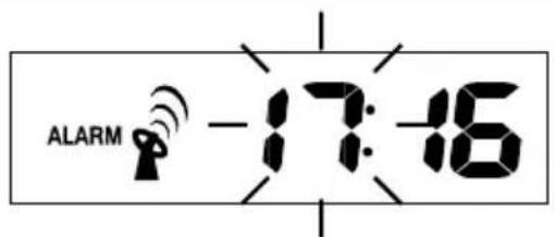 AURIOL IAN 288624 - Fonction d'alarme - 1