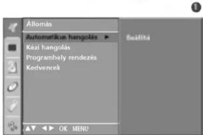 LG 42PC1RVA - Automatus programbeallitas - 11