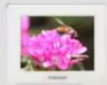 SAMSUNG SPF83M - Limitations et recommandations - 1