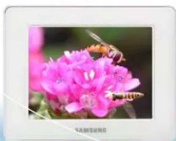 SAMSUNG SPF83M - Emplacement pour carte mémoire - 2