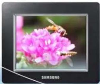 SAMSUNG SPF75H - Avertissement - 2