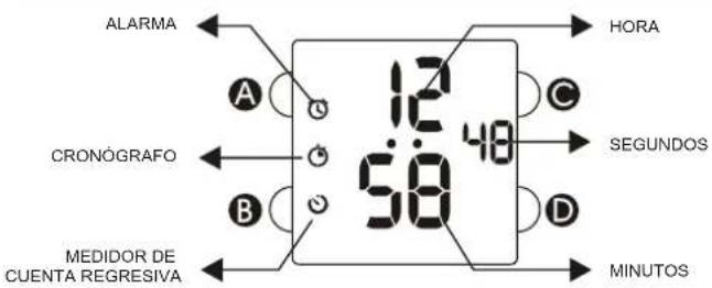 Calypso K5748 - 1