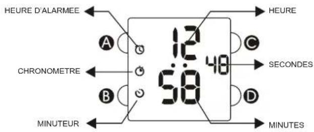 Calypso K5748 - 1