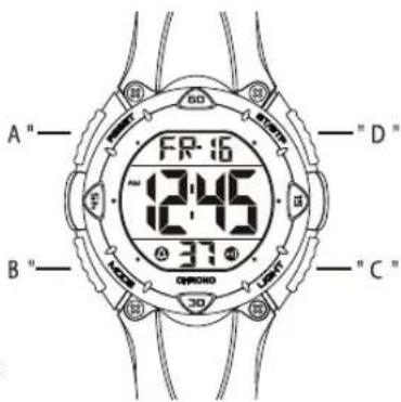 Calypso K5741 - 1