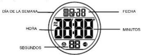 Calypso K5741 - VISUALIZADOR HORA NORMAL - 1