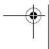 SILVERCREST SRR 3.7 A1 - AVISO de danos materiais - 8