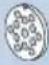 BOSCH SmartPower MFW2510W - Guarantee - 2