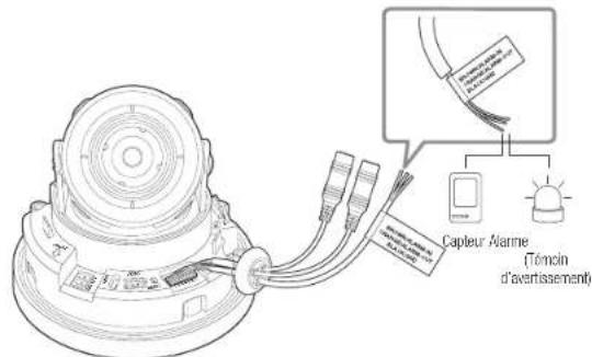 Hanwha XND6010 - Connexion au boitier du port E/S - 1