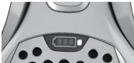 ELECTROLUX ErgoRapido ZB2908 - Akumahu kuva* / Akkumulator toltésjelzöje* / Barosanas elementu jaudas displejs* - 2
