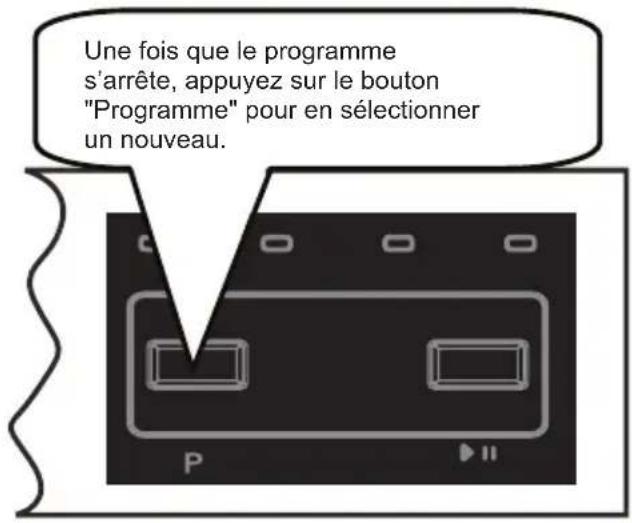 ESSENTIELB ELVS 456s - Annuler un programme - 3