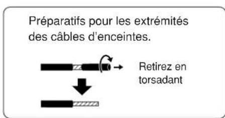 PANASONIC TYSP50P8WS - Branchez les cables d'enceintes. - 1