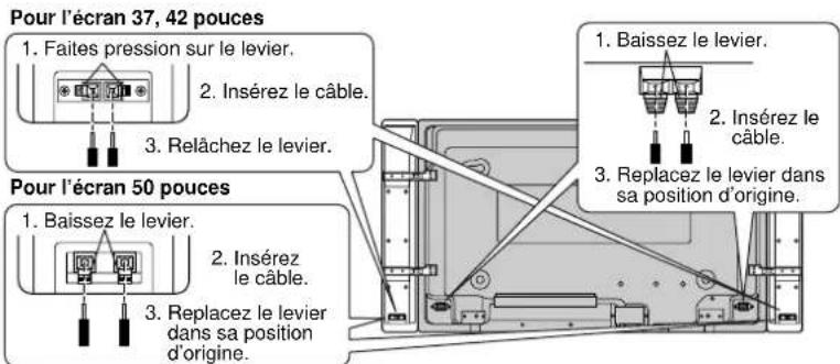 PANASONIC TYSP50P5K - Branchez les câbles d'enceintes. - 2