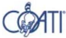 Coati 12617 - PERSONALIZACIÓN DE UN PROGRAMA - 1