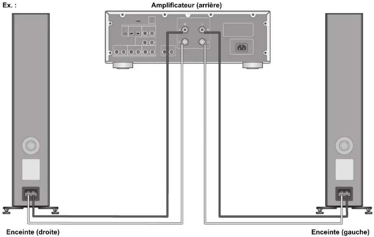TECHNICS SBG90 - Connexion à un amplificateur - 1