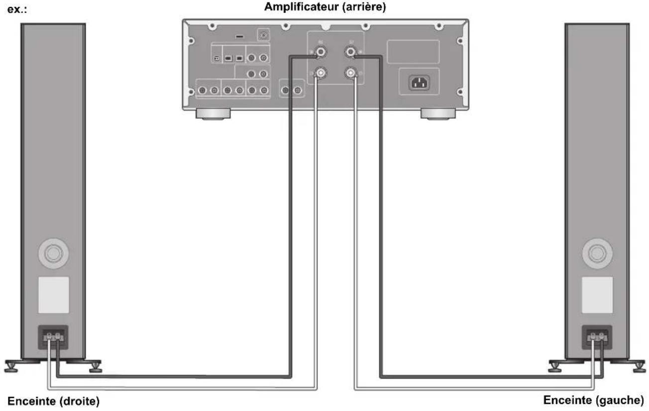 TECHNICS SBG90 - Raccordement d'un amplificateur - 1