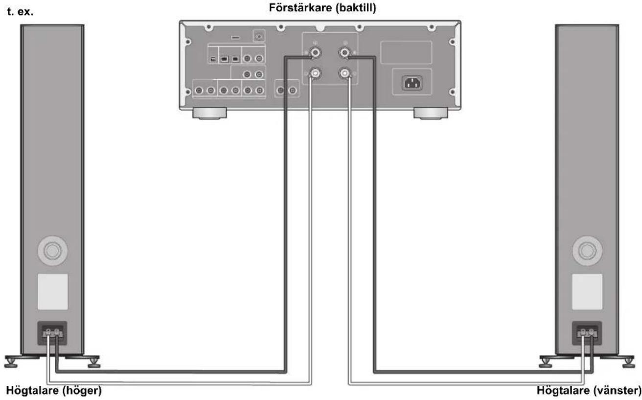 TECHNICS SBG90 - Att ansluta en forstärkare - 1