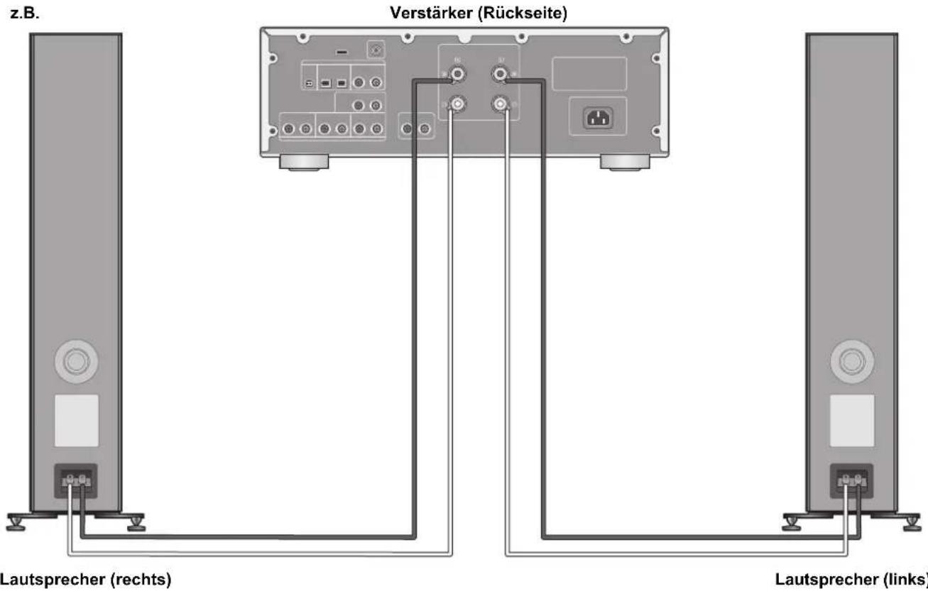 TECHNICS SBG90 - Anschluss über einen Veränderker - 1