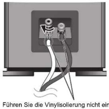 TECHNICS SBG90 - Anschließlich der Laufsprecherkabel - 3
