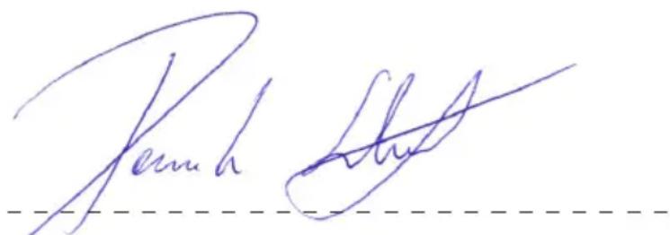 Erba 17001 - KONFORMITÄTSERKLÄRUNG DECLARATION OF CONFORMITY - 1