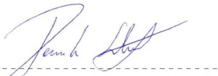 Erba 17001 - DÉCLARATION DE CONFORMITÉ - 1