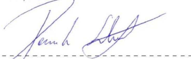 Erba 13281 - MEGFELELOSEGI NYILATKOZAT - 1