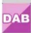 Imperial DABMAN i610 - IMPOSTAZIONI - 6