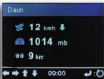 Imperial DABMAN i610 - Weather information - 2