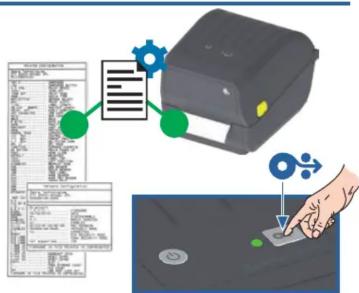 ZEBRA ZD220 - Power On and Print - 4