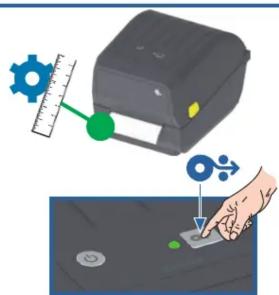 ZEBRA ZD220 - Power On and Print - 3