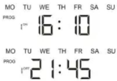 Brandson 301775 - Creazione programmi - 2