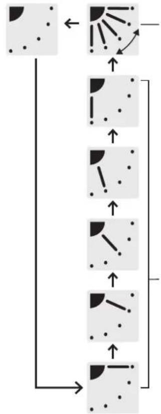 PANASONIC S36MT2E5A - Réglage de la direction du flux d'air - 4