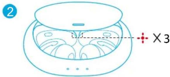 soundcore Liberty 2 Pro - Reset - 2