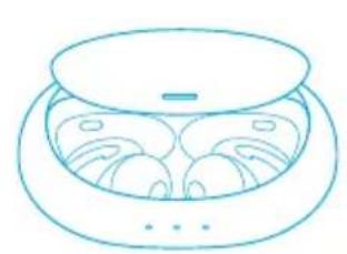 soundcore Liberty 2 Pro - Ein-/Ausschalten - 1