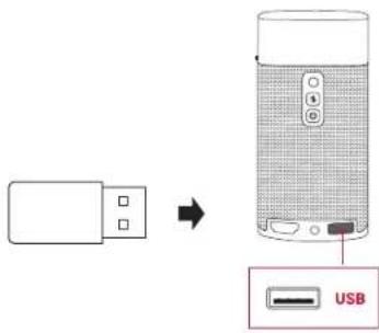 NEBULA Apollo - USB 2 - 1