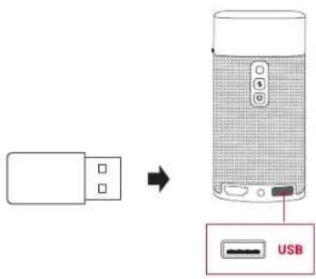 NEBULA Apollo - Reproduccion desde un dispositivo de almacenimiento USB - 1