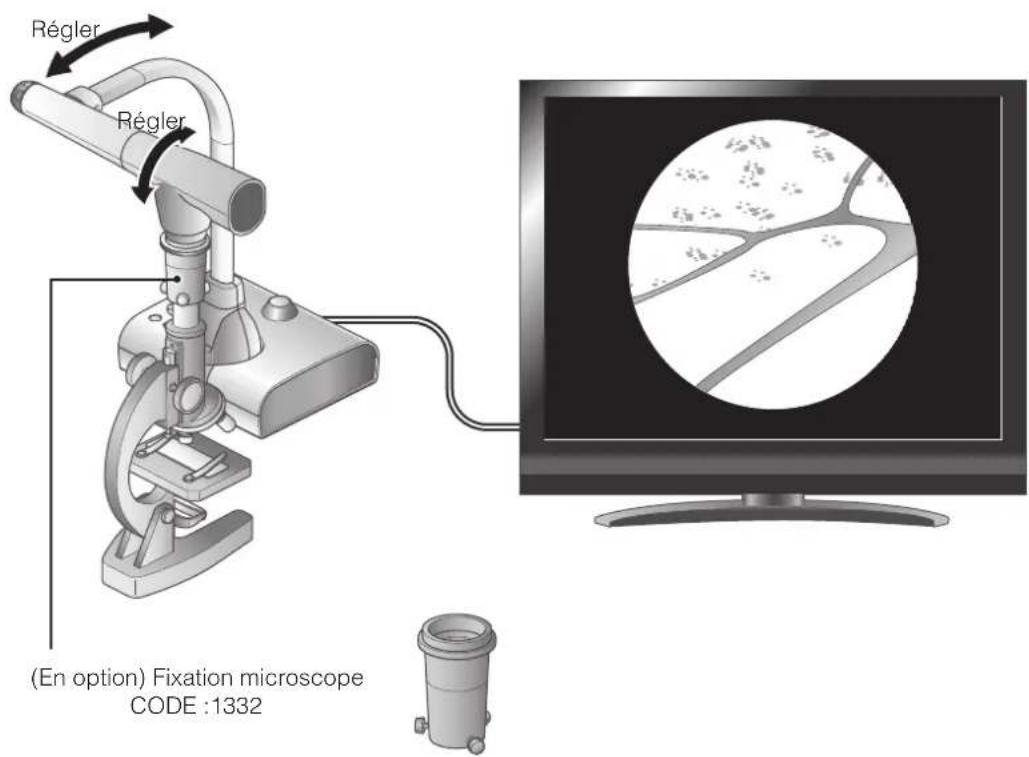 Elmo L12iD - 3-5 Affichage d'images agrandies à l'aide d'un microscope - 1