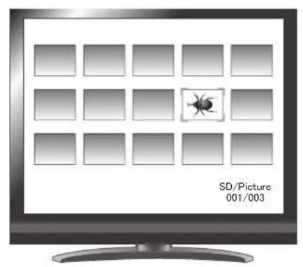 Elmo L12iD - Fonctions de base - 12