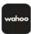 Wahoo Kickr 18 - KICKRAUFSTellen - 1
