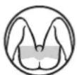 PANASONIC ERGY60 - Sensitive områder Buttocks - 2