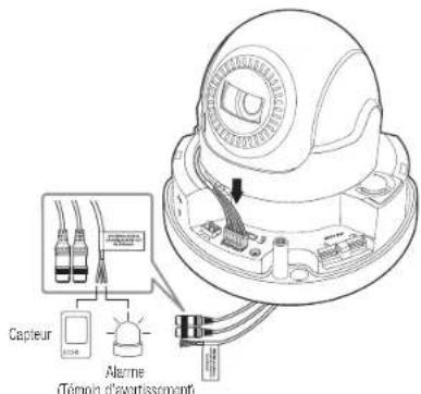 Hanwha XND6085V - Connexion au boitier du port E/S - 1