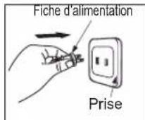 PANASONIC SRDF101 - Branchez les fiches - 2
