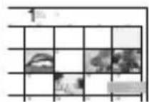 SONY Alpha ILCA68K - Brug af Image Data Converter - 3