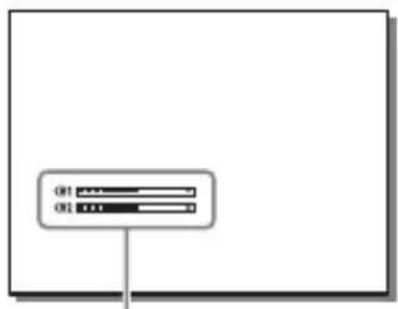 SONY Alpha ILCE7M2K - Audio-Einstellungen für Filmaufnahme - 3