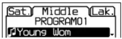 SONY DNE320 - Reproduccion de pistas en elorden deseado (reproduccion PGM) - 1