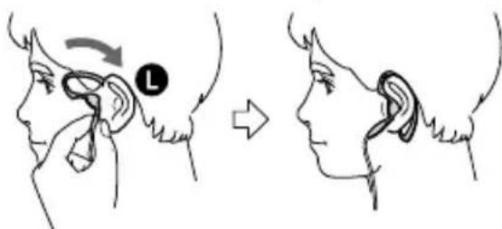 SONY DNE320 - Nota - 1