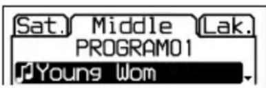 SONY DNE320 - Lecture de morceaux dans l'ordre de votre choix (lecture programmée) - 1