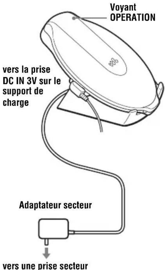 SONY DNE10 - Utilisation de la pile rechargeable - 3