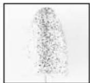 MEDISANA Medistyle L - Recommended sequence for a pedicure (care of the feet): - 1