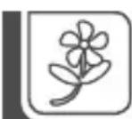 TRISA Luxury Hair - Table of contents | Índice de contenido - 1