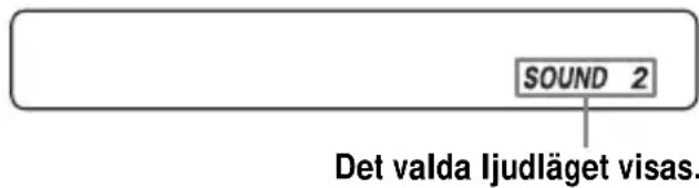 SONY DNE509 - Förstärka basljudet (SOUND) - 2